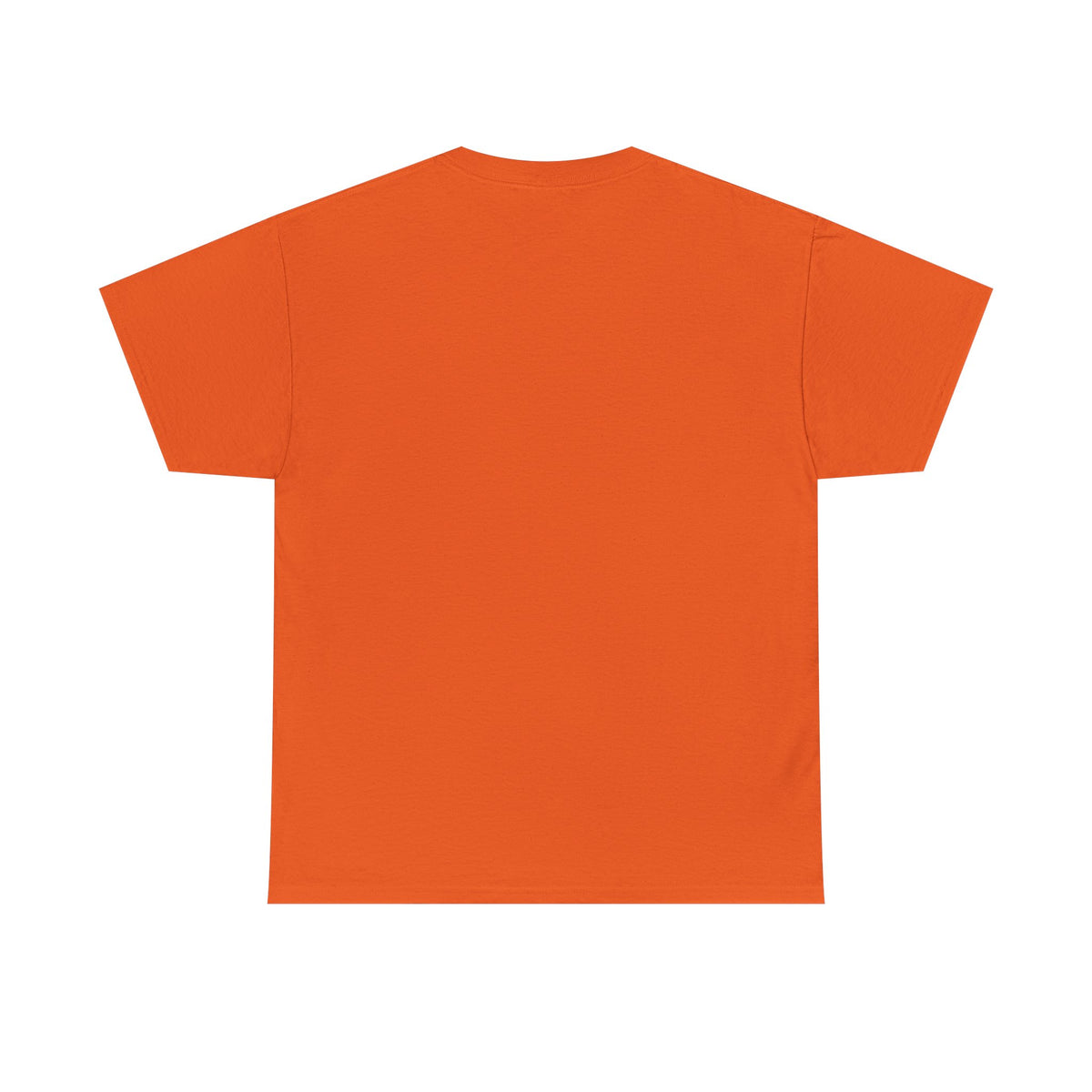 Franela Unisex Algodón Pesado | Camiseta Clásica